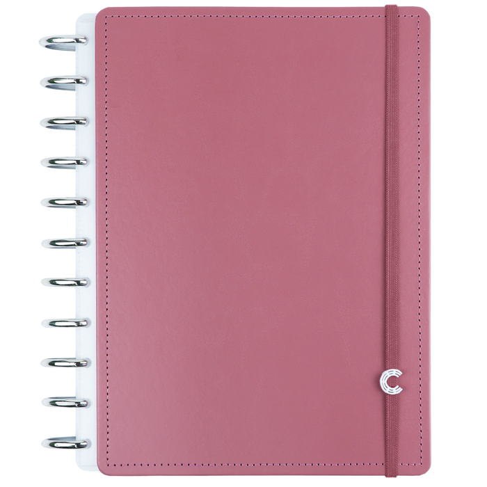 CADERNO 10 MATÉRIAS GUAVA Caderno Inteligente Lojista