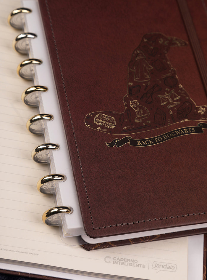 CADERNO CI BY HARRY POTTER CHAPÉU SELETOR