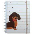 CADERNO DOLCINHO