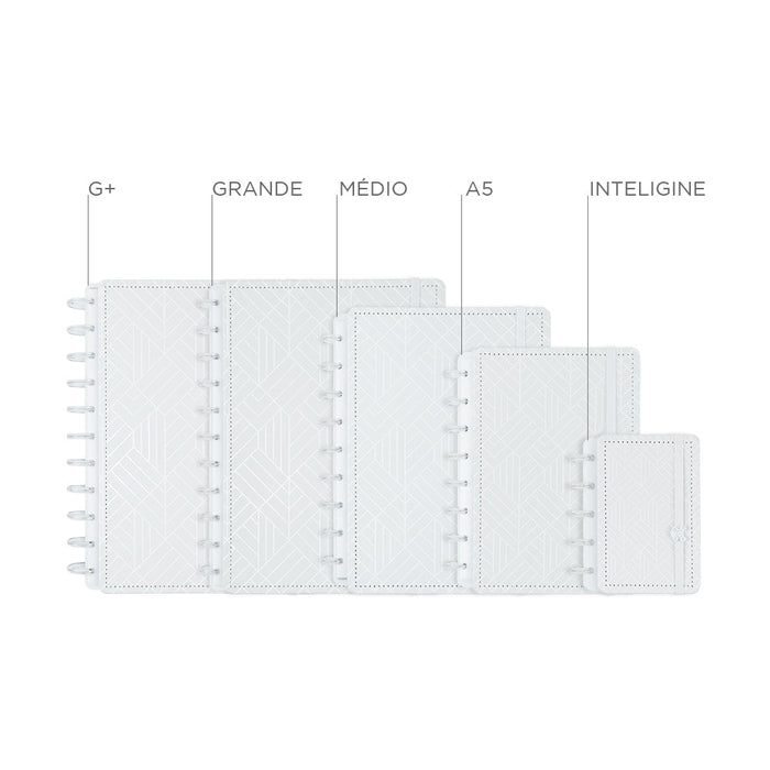 CADERNO ICE GREY Caderno Inteligente ®