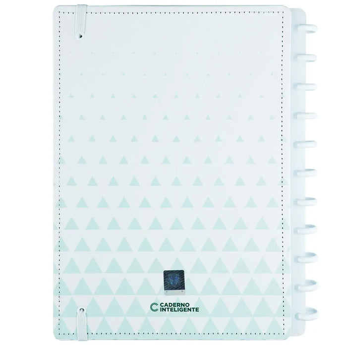 CADERNO PALMEIRAS ALVIVERDE Caderno