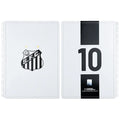 CAPA E CONTRACAPA SANTOS Caderno Inteligente ®