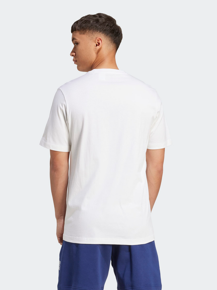 Collegiate Lineage Graphic Tee