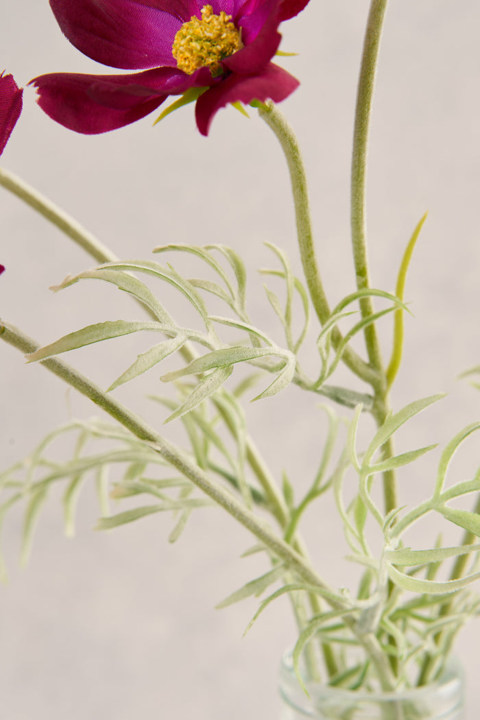 Cosmos Vase