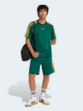 Firebird Engineered Stripes Shorts