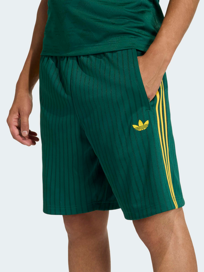Firebird Engineered Stripes Shorts