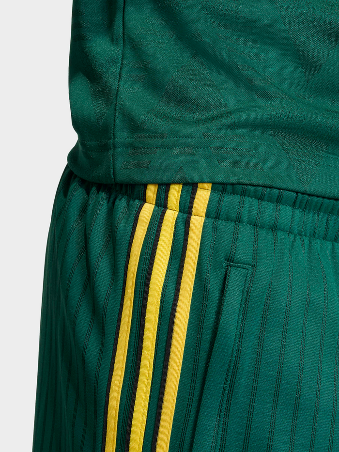Firebird Engineered Stripes Shorts