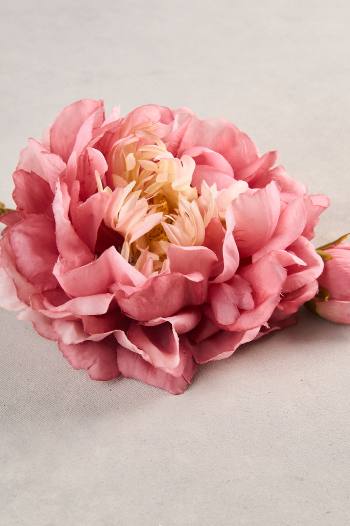 Peony Stem