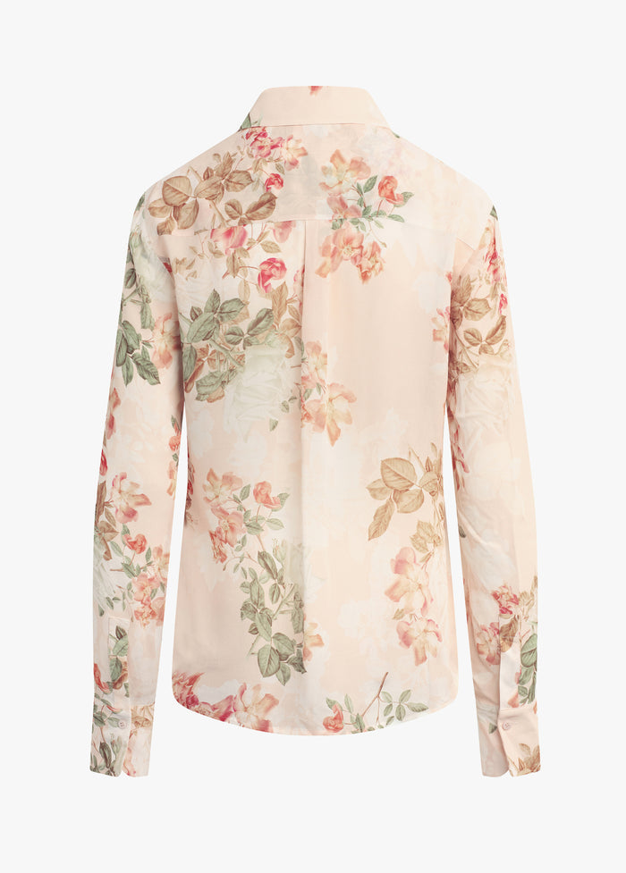 light peach rose