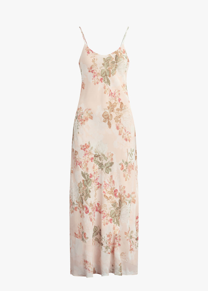 light peach rose