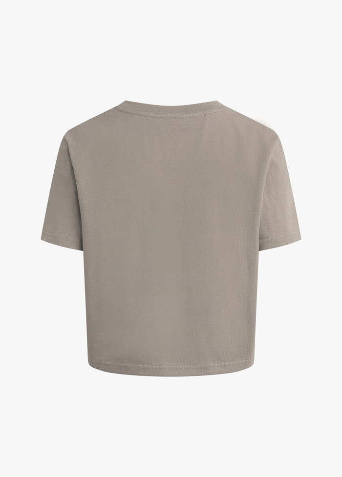 soft taupe