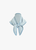 blue white stripe