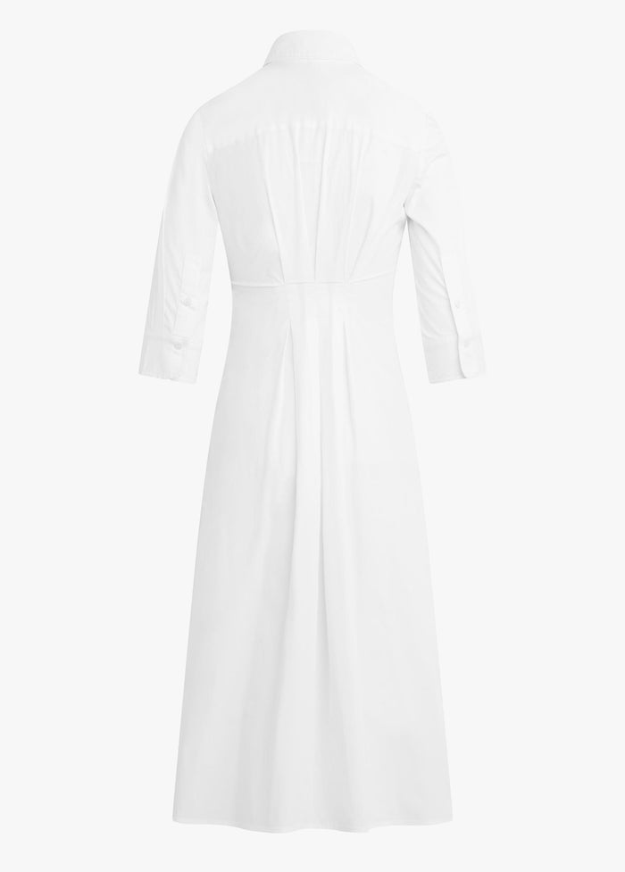 THE WELL MANNERED DRESS